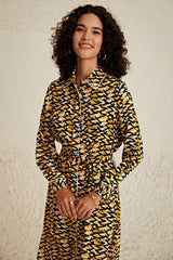 Zebra Zest Dress