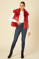 Rebato Collar Jacket